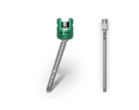 Polyaxial Fenestrated Screw (cement augmented)