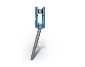 Reduction Polyaxial Screw